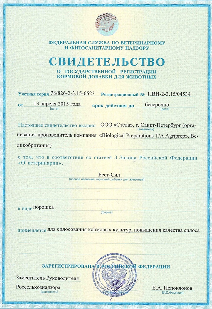 Best-Sil Dry (фольговый пакет 300 г)